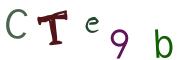 Image CAPTCHA